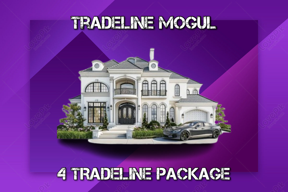 4 Tradeline bulk Package
